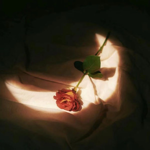 av在线观看网站免费
